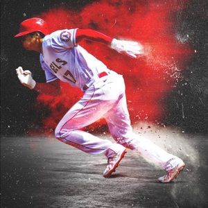 Meet your Posher, Wyatt